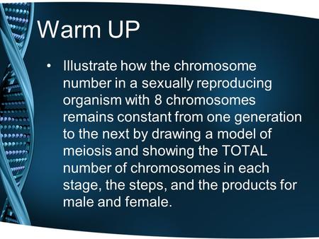 Warm UP Illustrate how the chromosome number in a sexually reproducing organism with 8 chromosomes remains constant from one generation to the next by.