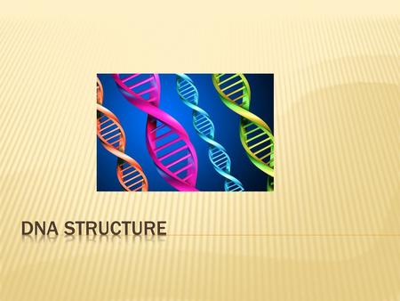 DNA structure.