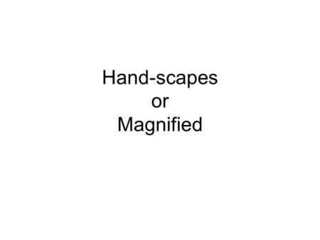 Hand-scapes or Magnified