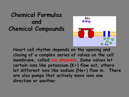 Chemical Formulas and Chemical Compounds Heart cell rhythm depends on the opening and closing of a complex series of valves on the cell membrane, called.