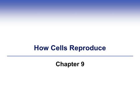 How Cells Reproduce Chapter 9. Impacts, Issues Henrietta’s Immortal Cells  Henrietta Lacks died of cancer at age 31, but her cells (HeLa cells) are still.