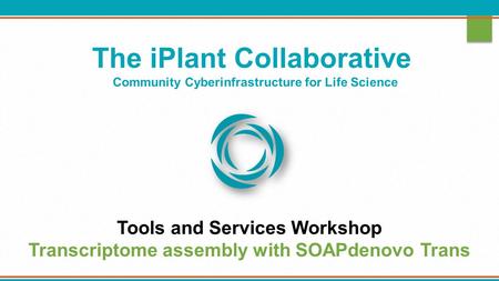 The iPlant Collaborative