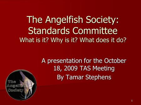 1 The Angelfish Society: Standards Committee What is it? Why is it? What does it do? A presentation for the October 18, 2009 TAS Meeting By Tamar Stephens.