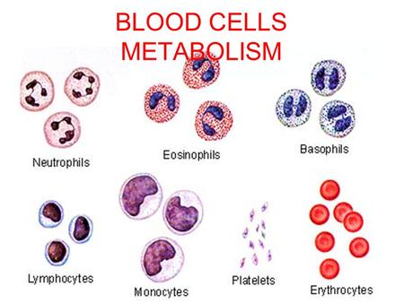 BLOOD CELLS METABOLISM. Objectives of the Lecture 1- Understanding the general structural & functional features of red blood cells (RBCs). 2- Recognizing.