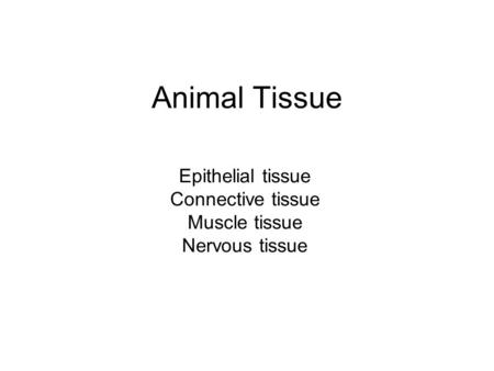 Animal Tissue Epithelial tissue Connective tissue Muscle tissue Nervous tissue.