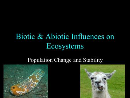 Biotic & Abiotic Influences on Ecosystems Population Change and Stability.
