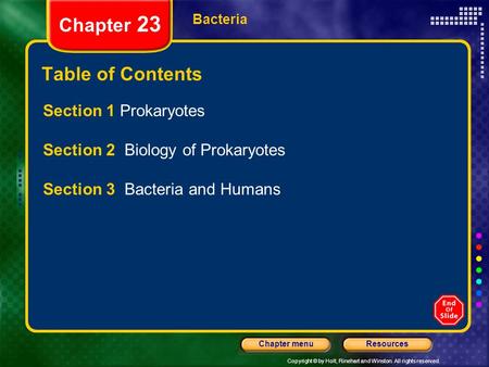 Copyright © by Holt, Rinehart and Winston. All rights reserved. ResourcesChapter menu Bacteria Chapter 23 Table of Contents Section 1 Prokaryotes Section.