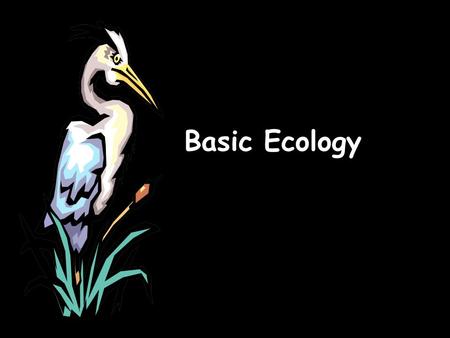 Basic Ecology. What is ecology? Ecology- the scientific study of interactions between organisms and their environments, focusing on energy transfer It.