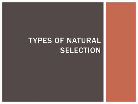 TYPES OF NATURAL SELECTION.  Directional Selection  Stabilizing Selection  Disruptive Selection DEFINE IN YOUR NOTES.