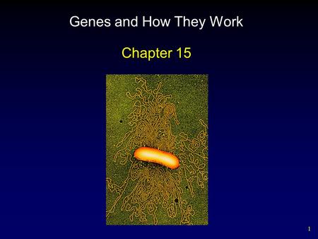 1 Genes and How They Work Chapter 15. 2 Outline Cells Use RNA to Make Protein Gene Expression Genetic Code Transcription Translation Spliced Genes – Introns.