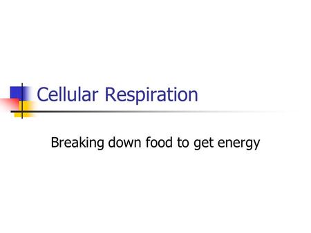 Cellular Respiration Breaking down food to get energy.