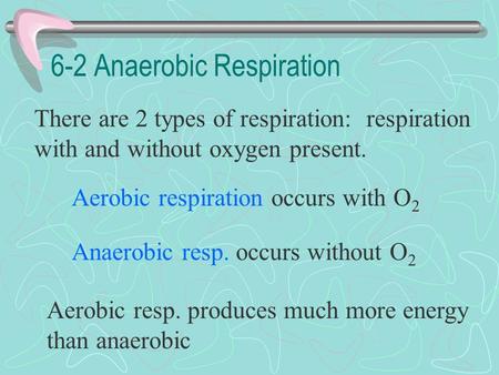 6-2 Anaerobic Respiration There are 2 types of respiration: respiration with and without oxygen present. Aerobic respiration occurs with O 2 Anaerobic.
