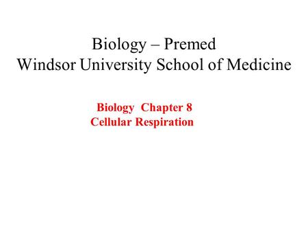 Biology – Premed Windsor University School of Medicine Biology Chapter 8 Cellular Respiration.