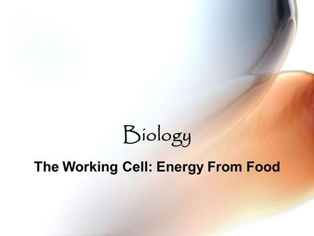 Biology The Working Cell: Energy From Food. Sunlight Powers Life There are 2 main types of organisms: 1. Autotrophs are organisms that make their own.