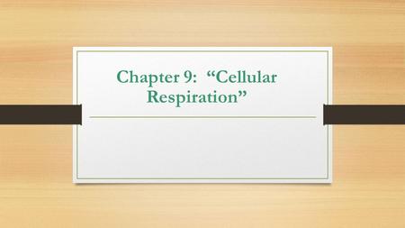 Chapter 9: “Cellular Respiration”