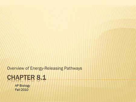 Overview of Energy-Releasing Pathways AP Biology Fall 2010.