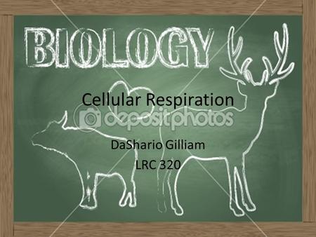 Cellular Respiration DaShario Gilliam LRC 320.