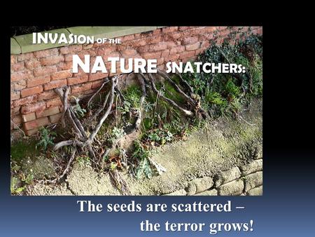 The seeds are scattered – the terror grows!