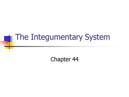 The Integumentary System Chapter 44. The Integumentary System The outer covering of animal bodies is called the integument. In humans The skin is the.