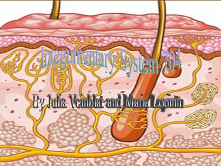  The major job of the Integumentary System is protection of the body’s insides.  The system protects the body from, dehydration, over heating, or freezing.
