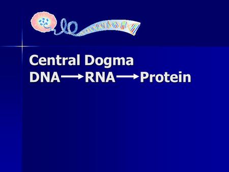 Central Dogma DNA RNA Protein. What are chromosomes? Where are they found? Chromosome Histones DNA double helix.