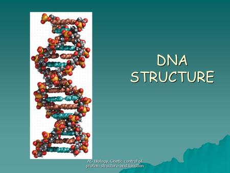 AS Biology. Gnetic control of protein structure and function DNA STRUCTURE.