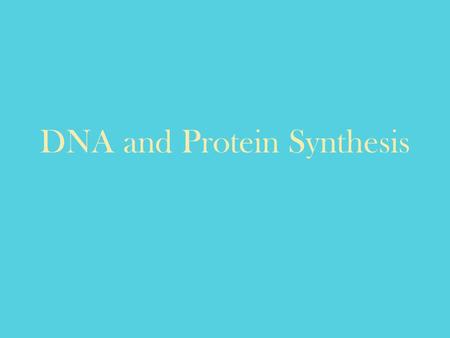 DNA and Protein Synthesis. The Structure of DNA Nucleotide DNA’s Four Bases: Adenine Thymine Cytosine Guanine.