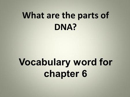 What are the parts of DNA? Vocabulary word for chapter 6.
