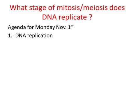 What stage of mitosis/meiosis does DNA replicate ?