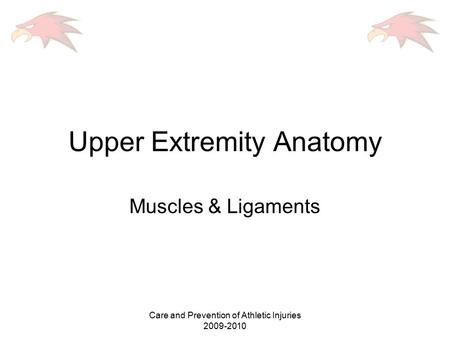 Upper Extremity Anatomy