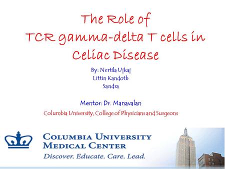 The Role of TCR gamma-delta T cells in Celiac Disease Columbia University, College of Physicians and Surgeons By: Nertila Ujkaj Littin Kandoth Sandra.