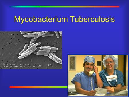 Mycobacterium Tuberculosis. Decline During 2000 - 16,377 cases of TB (5.8/100,000 of U.S. population) were reported to CDC 7% dec from 1999 39% dec.