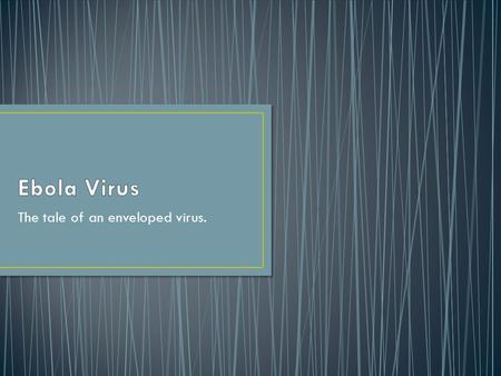 The tale of an enveloped virus.
