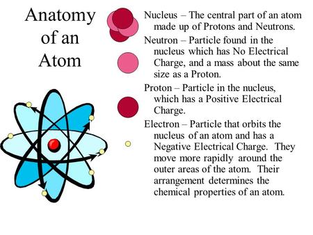 Anatomy of an Atom Nucleus – The central part of an atom made up of Protons and Neutrons. Neutron – Particle found in the nucleus which has No Electrical.