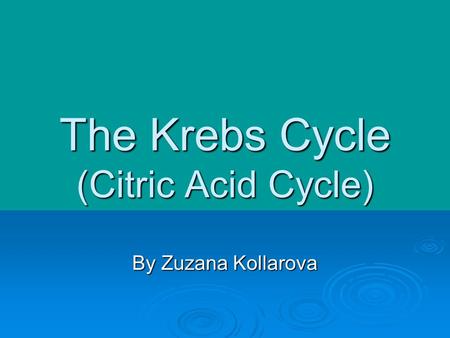 The Krebs Cycle (Citric Acid Cycle) By Zuzana Kollarova.