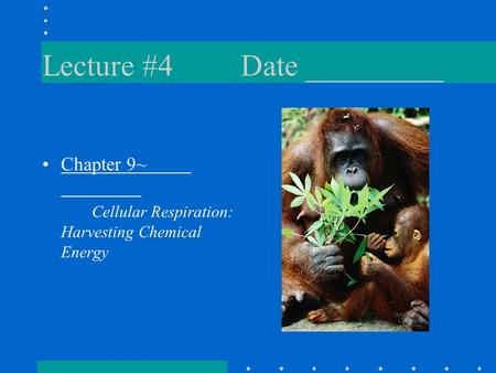 Lecture #4Date _________ Chapter 9~ Cellular Respiration: Harvesting Chemical Energy.
