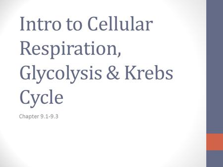 Intro to Cellular Respiration, Glycolysis & Krebs Cycle