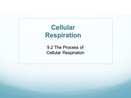 9.2 The Process of Cellular Respiration