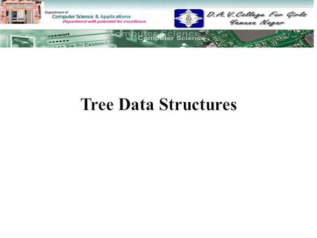 Tree Data Structures.