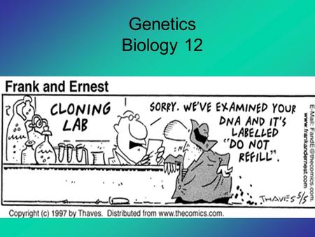 Genetics Biology 12. Mendel’s laws are operating  alleles are segregating  independent assortment  fertilization is random but…Mendel didn’t look at.
