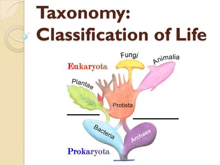 Taxonomy: Classification of Life