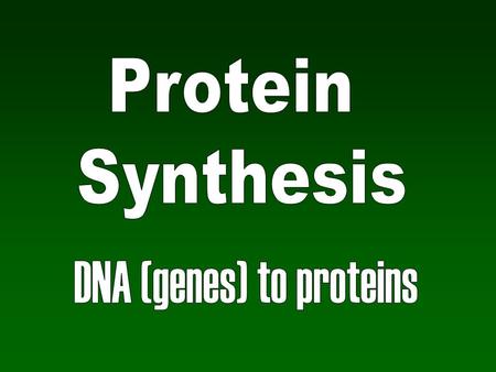 Protein Synthesis Building protein from DNA in cells Takes code on basepai rs Converts it to Turned into.