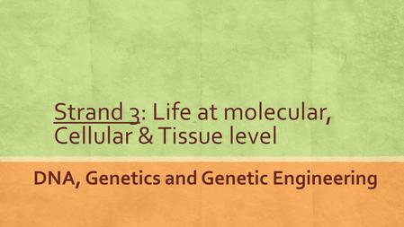 Strand 3: Life at molecular, Cellular & Tissue level DNA, Genetics and Genetic Engineering.