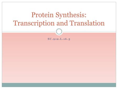 SC.912.L.16.5 Protein Synthesis: Transcription and Translation.