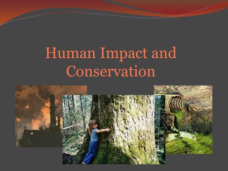 Human Impact and Conservation