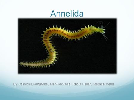 Annelida By: Jessica Livingstone, Mark McPhee, Raouf Fellah, Melissa Merks.