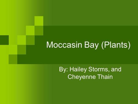 Moccasin Bay (Plants) By: Hailey Storms, and Cheyenne Thain.
