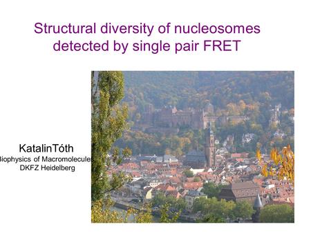 Structural diversity of nucleosomes detected by single pair FRET KatalinTóth Biophysics of Macromolecules, DKFZ Heidelberg.