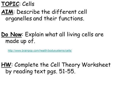 AIM: Describe the different cell organelles and their functions.