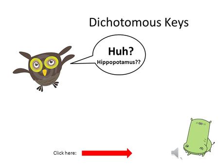Dichotomous Keys Huh? Hippopotamus?? Click here: